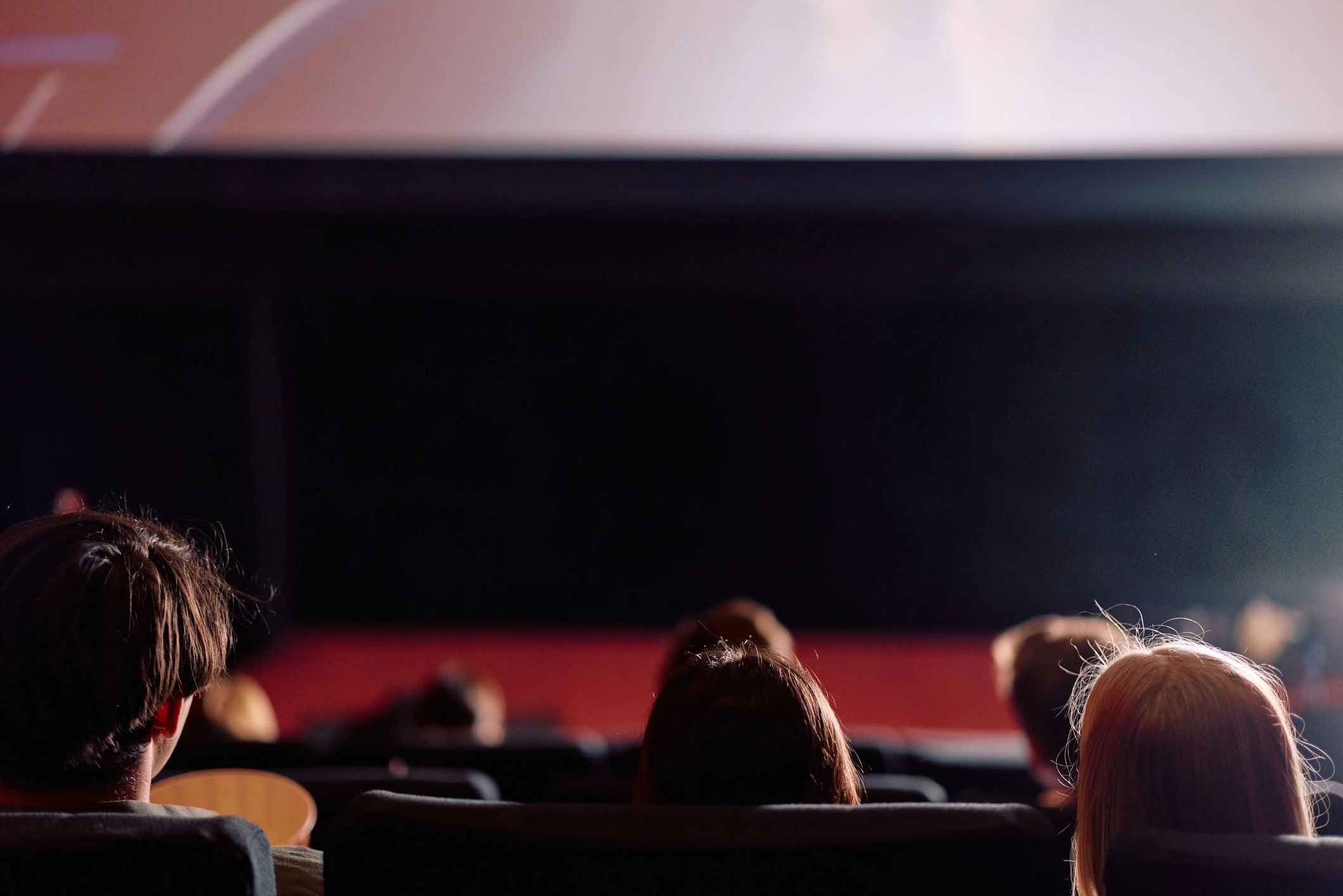 Audience watching a documentary screening in a dark theater